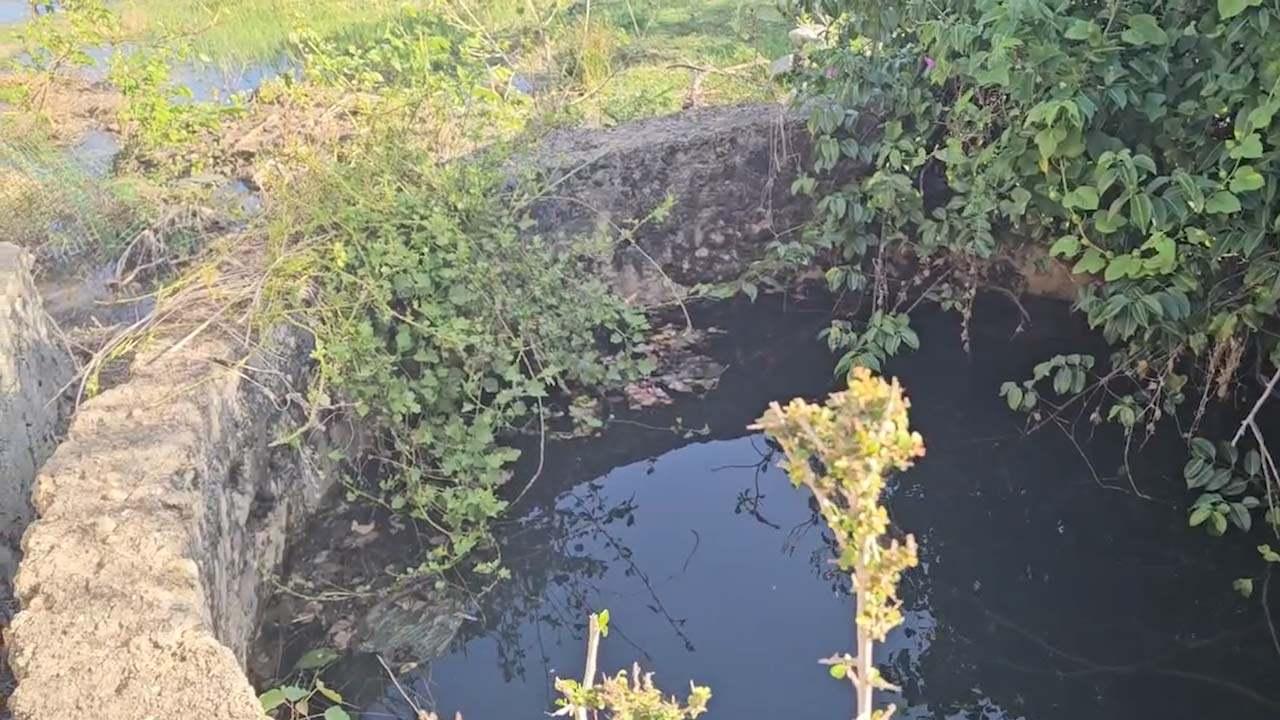 அராலியில் பெருக்கெடுத்த கிணறுகள்!