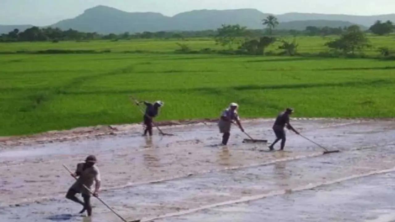 பெரும்போக நெல் பயிர்ச்செய்கைக்கு மண்டல வாரியாக கால அட்டவணை