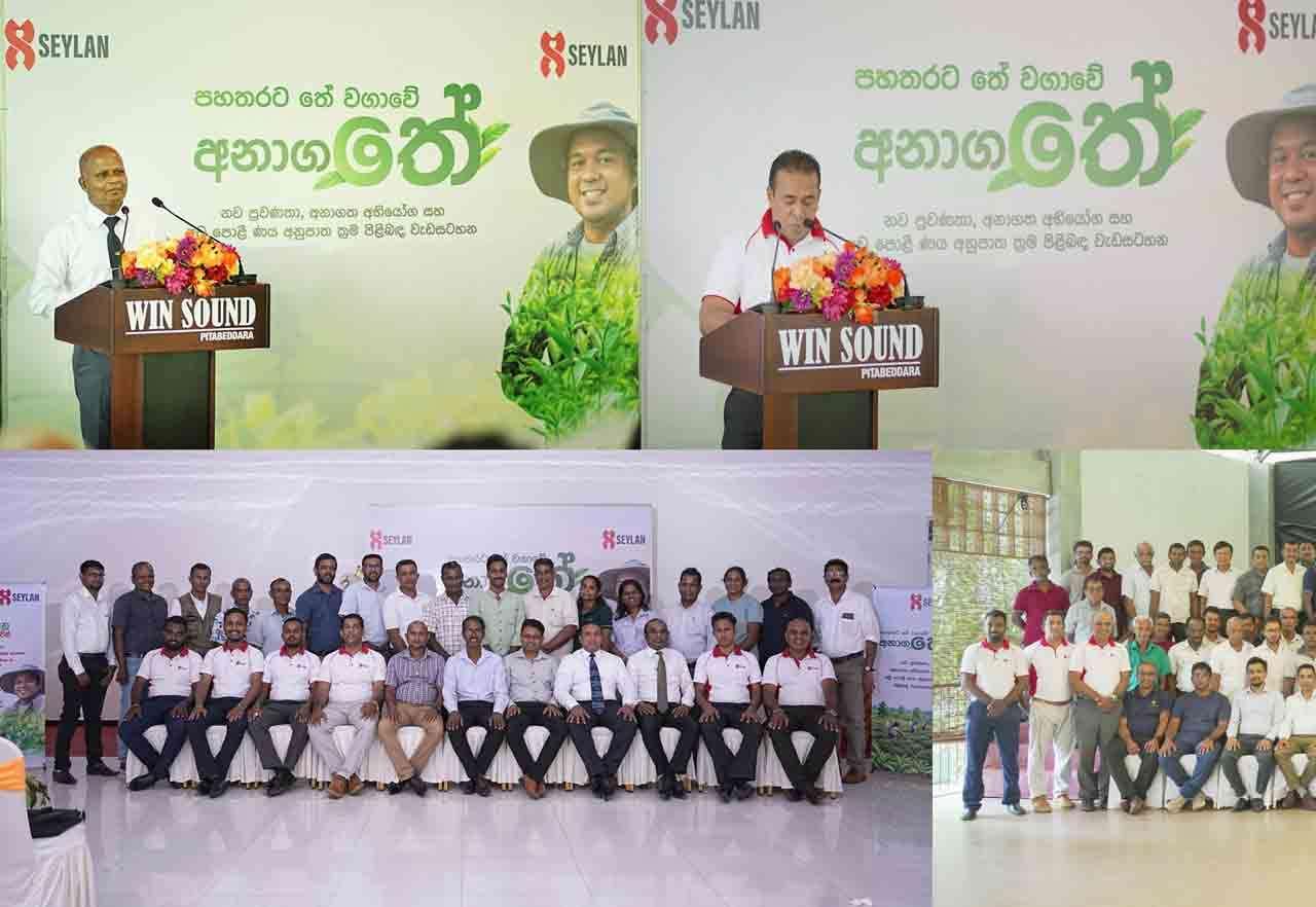 செலான் வங்கி, SME Scale-Up அமர்வுகள் ஊடாக தென்மாகாணத்தின் சிறு தேயிலைத் தோட்ட உரிமையாளர்களை வலுவூட்டுகிறது