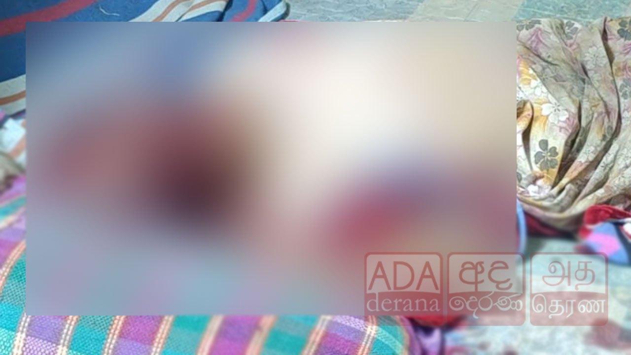 யாழில் வயோதிப் பெண் மரக்கட்டையால் அடித்துக்கொலை!