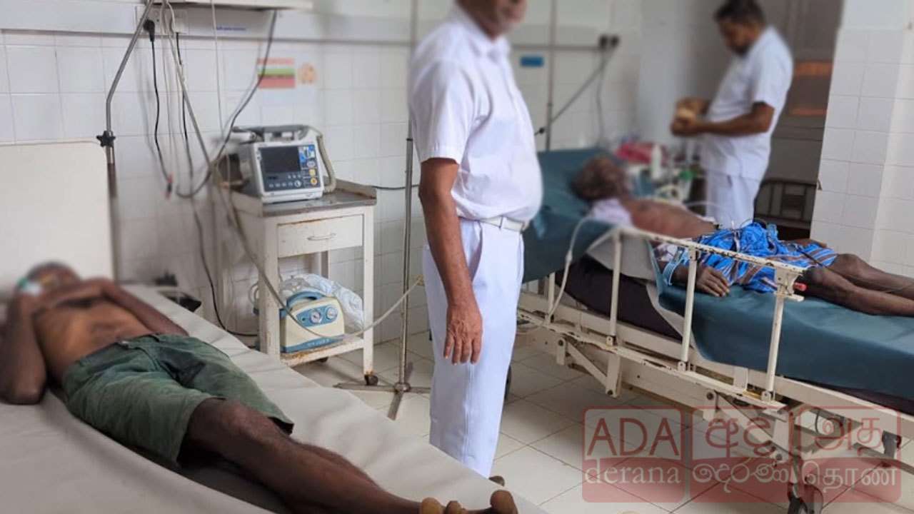 வட்டவளையில் குளவி கொட்டுக்கு இலக்கான ஐவர் வைத்தியசாலையில்