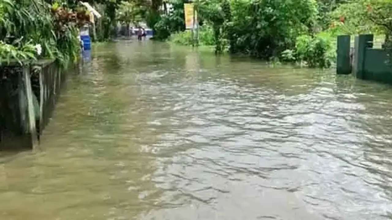 மகாவலி தாழ்நிலப் பகுதிகளுக்கு சிறிய வெள்ளப்பெருக்கு அபாய எச்சரிக்கை!