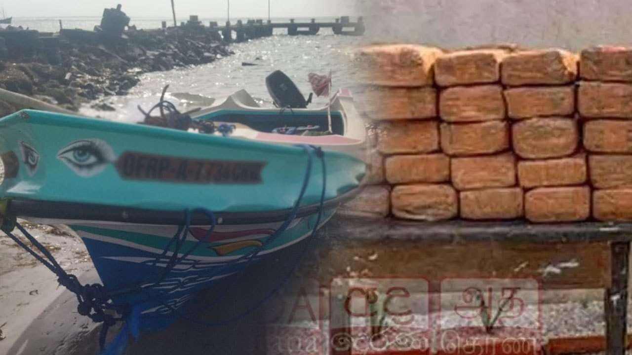 யாழில் சுமார் 38 மில்லியன் பெறுமதியான கேரள கஞ்சா மீட்பு