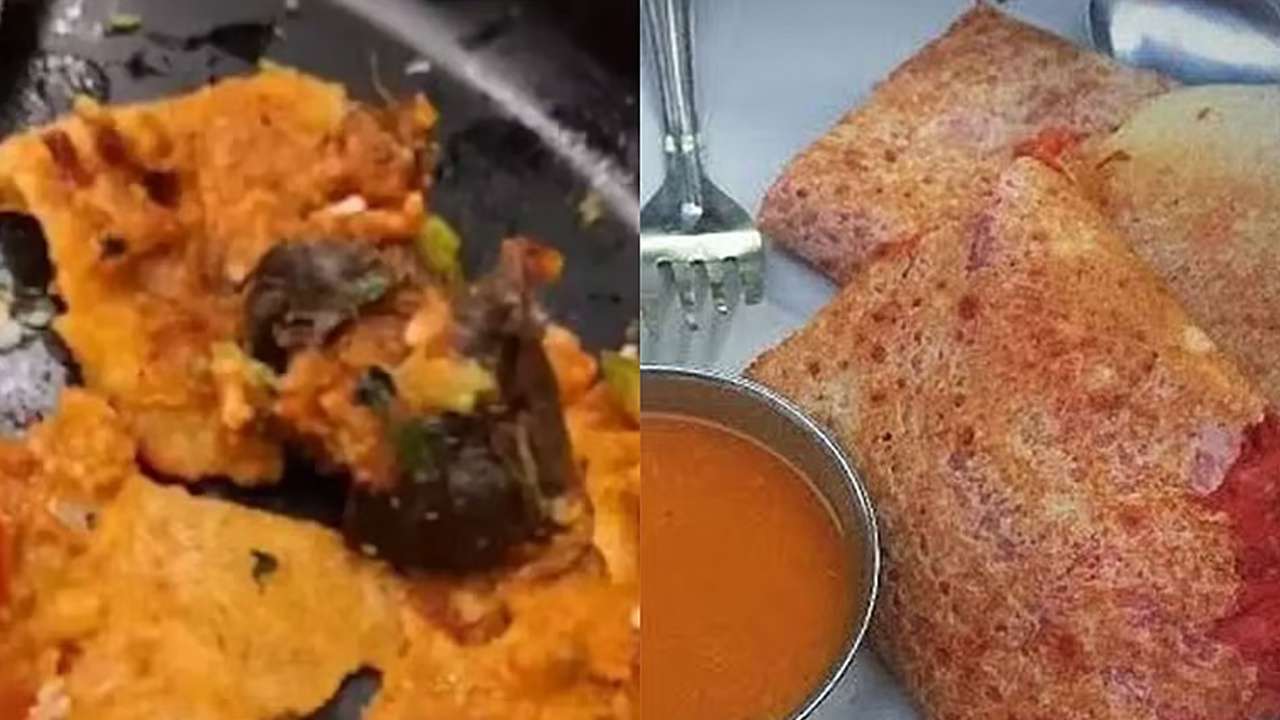 மசாலா தோசையில் எலி!