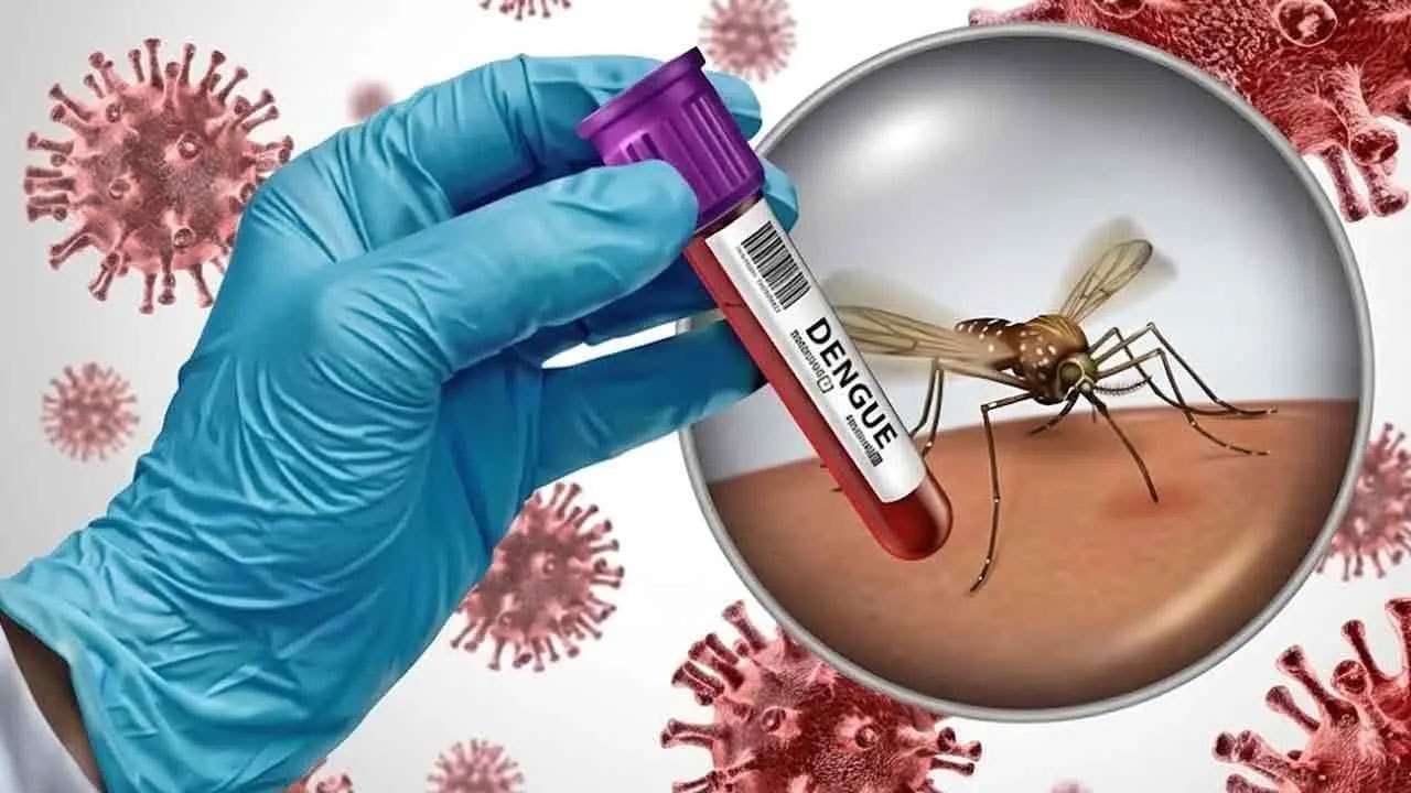 டெங்கு மரணங்களின் எண்ணிக்கை 78 ஆக அதிகரிப்பு