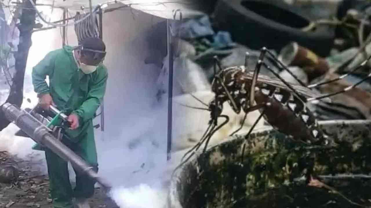 டெங்கு அபாயம் - அடையாளம் காணப்பட்ட 32 சுகாதார அலுவலர் பிரிவுகள்