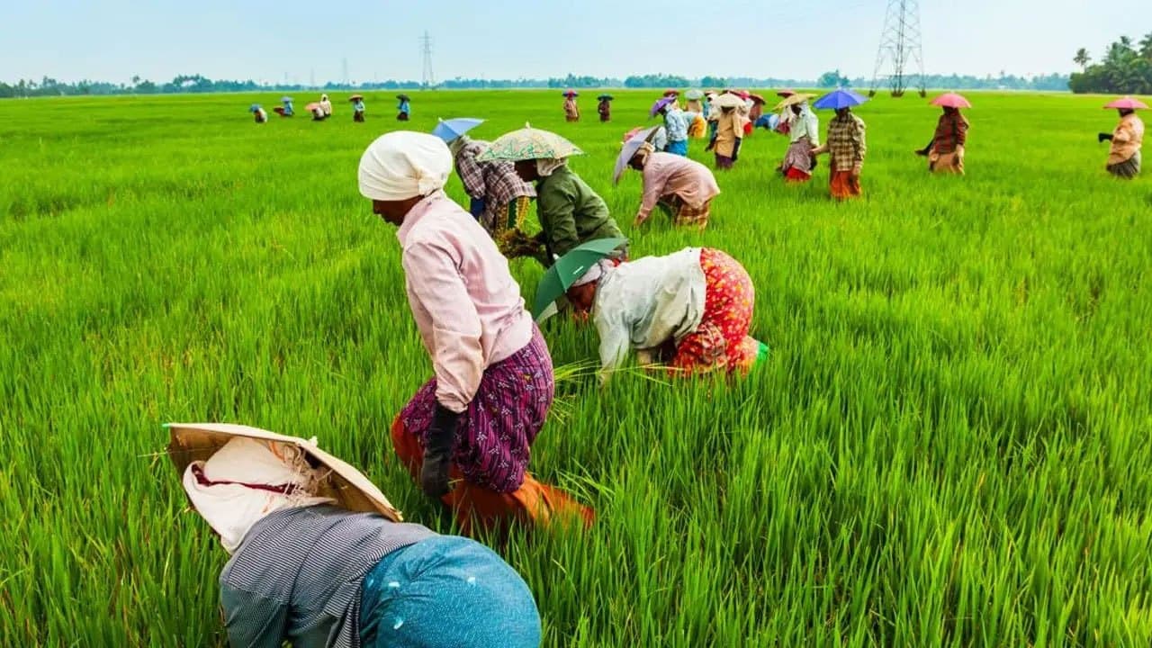 விவசாய கணக்கெடுப்பு பணிகள் ஆரம்பம்