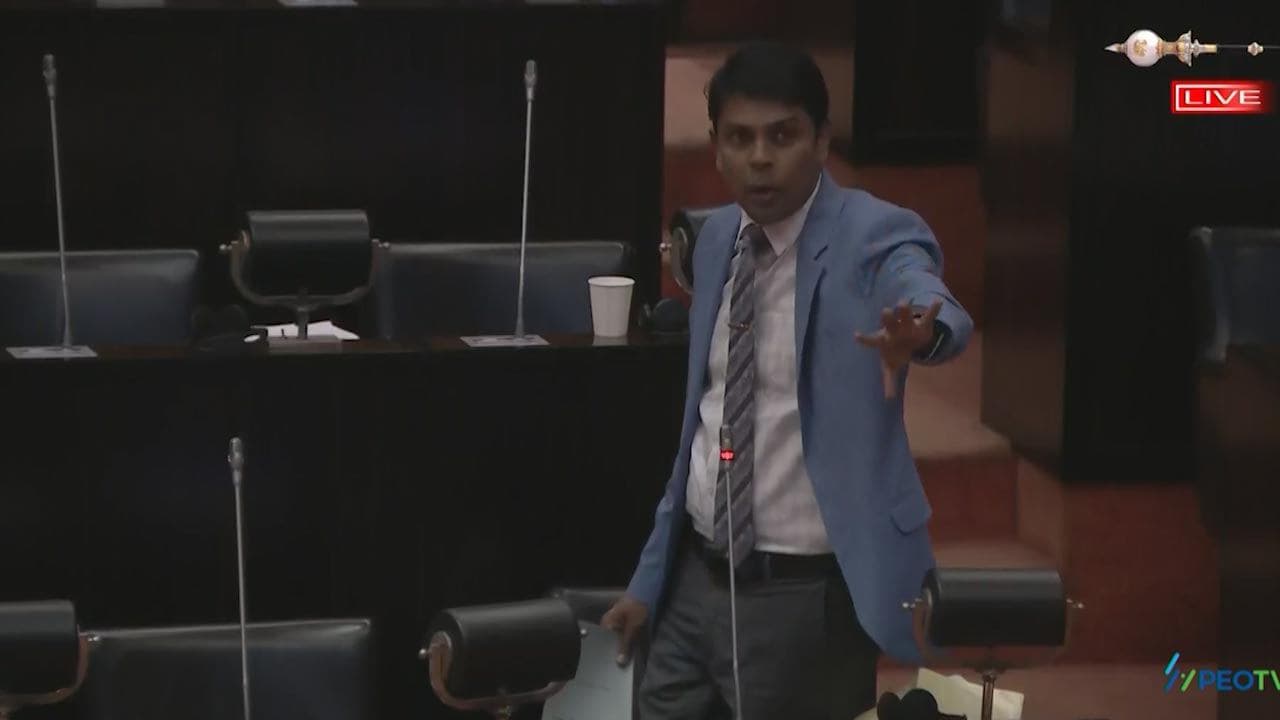 செம்மறி என்று கூறுவது பிழை!